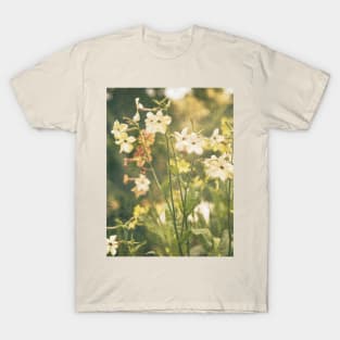 Yellow flowers blooming in a noody garden T-Shirt